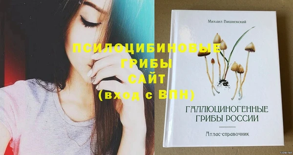 бутират Богданович