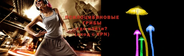 прущая мука Богородицк