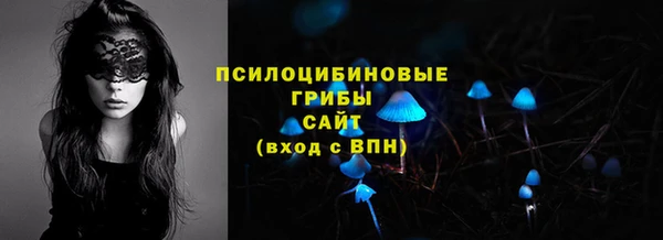 прущая мука Богородицк