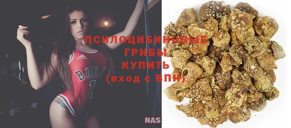 бутират Богданович