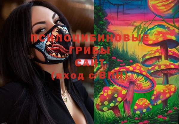 прущая мука Богородицк