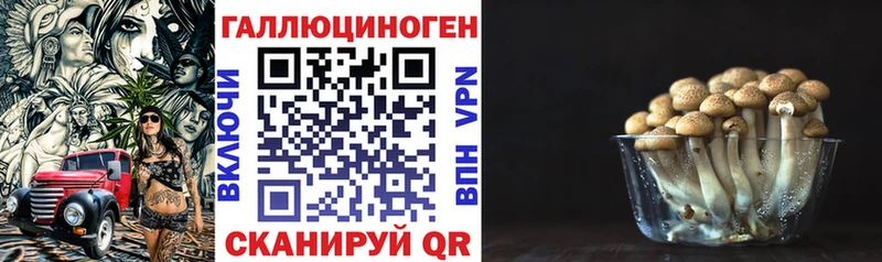 Галлюциногенные грибы ЛСД  дарк нет какой сайт  Курильск 